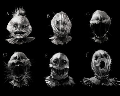 02_MurderOfCrows_Scarecrow_Face_ConceptArt
