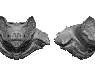 Bat