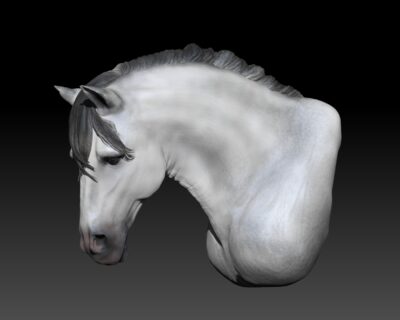 Coralie_Ritchot_Horse
