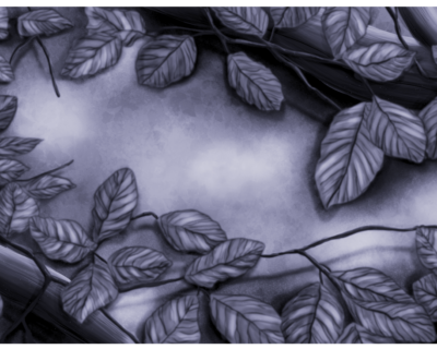 Forest-05