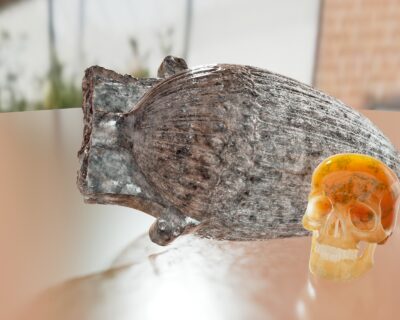 Glass_Study
