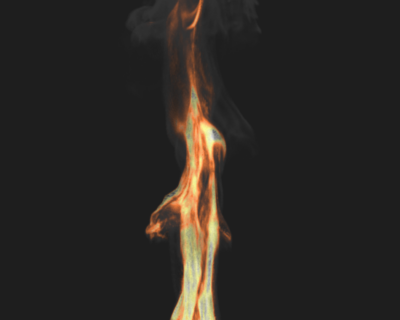 Lamer_DP08