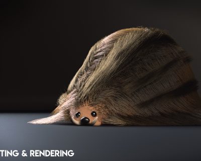 OlivierPrimeau_Waboose