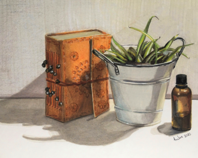Still-Life