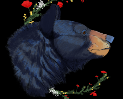ours noir