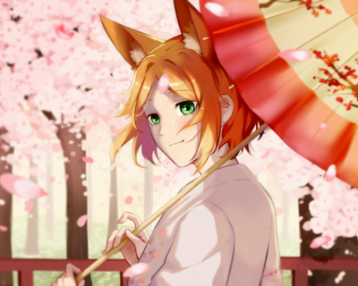 fox_final