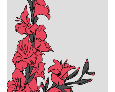 gladioli