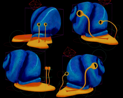 snails2