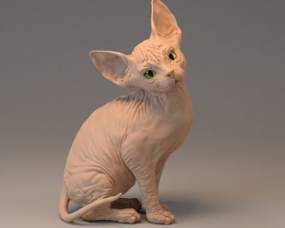 sphynx_beauty_turntable_1.0001-11