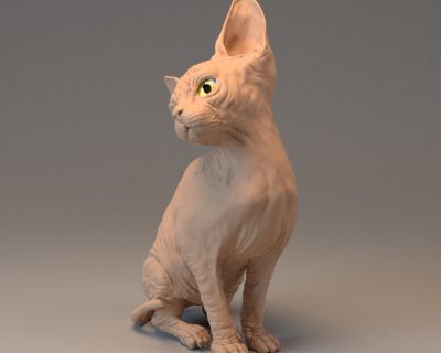 sphynx_beauty_turntable_1.00012