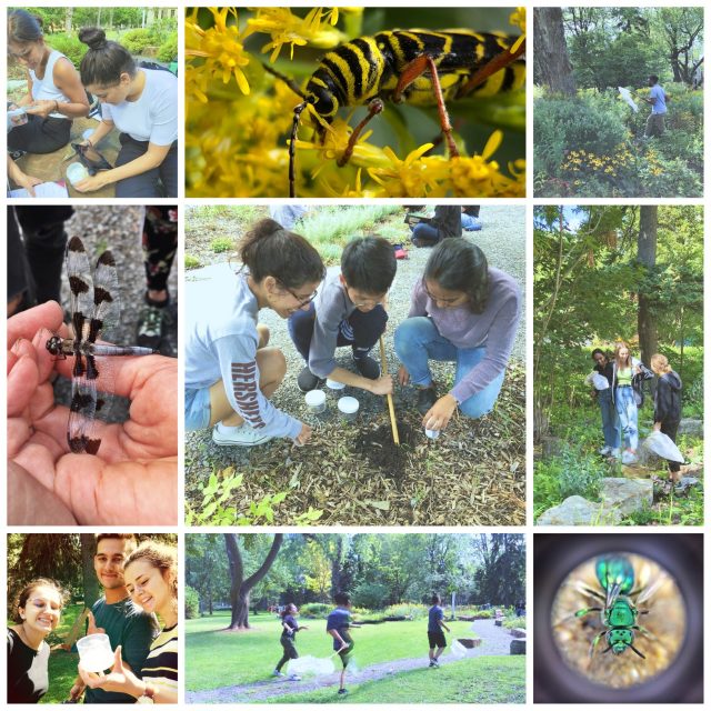 Camp de biologie thumbnail_IMG_3236