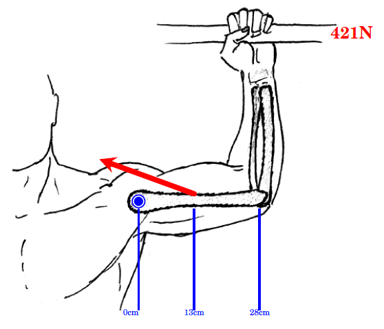 physiotherapy 2