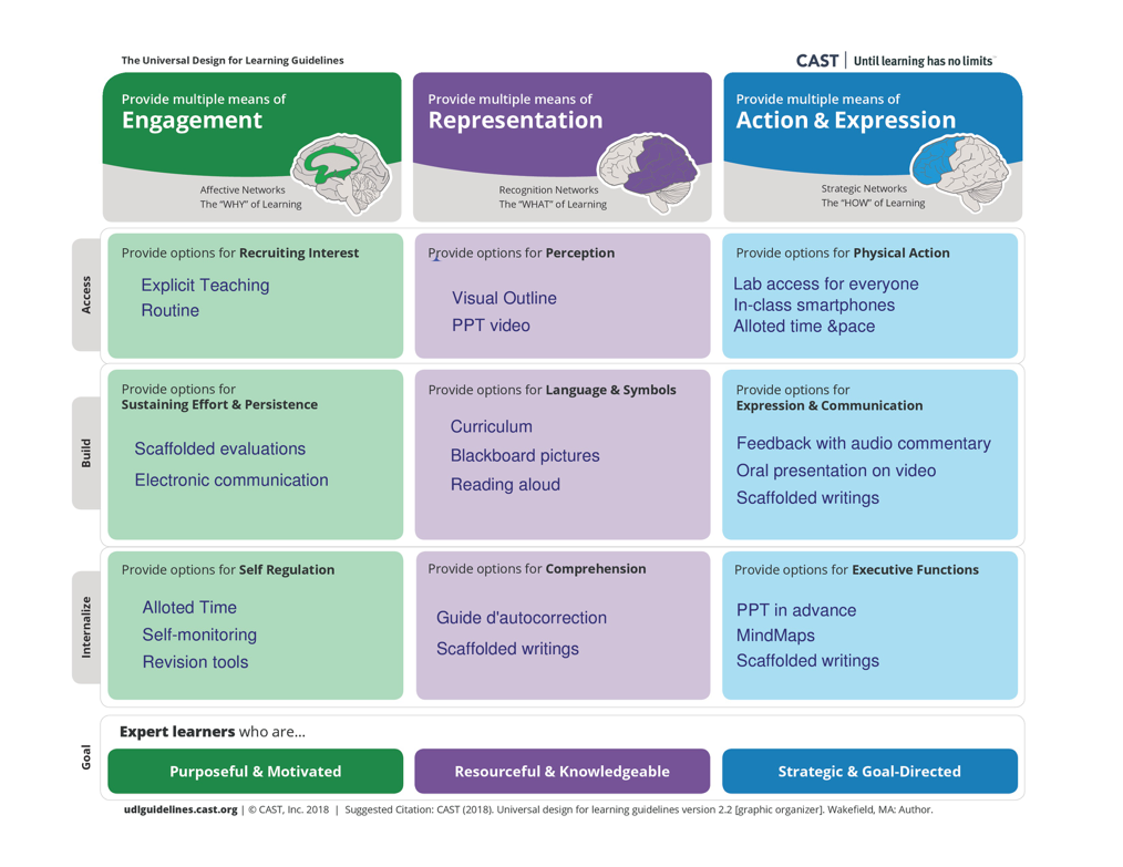 Delve Into The Realm Of Inclusion A Udl Journey Academic Matters