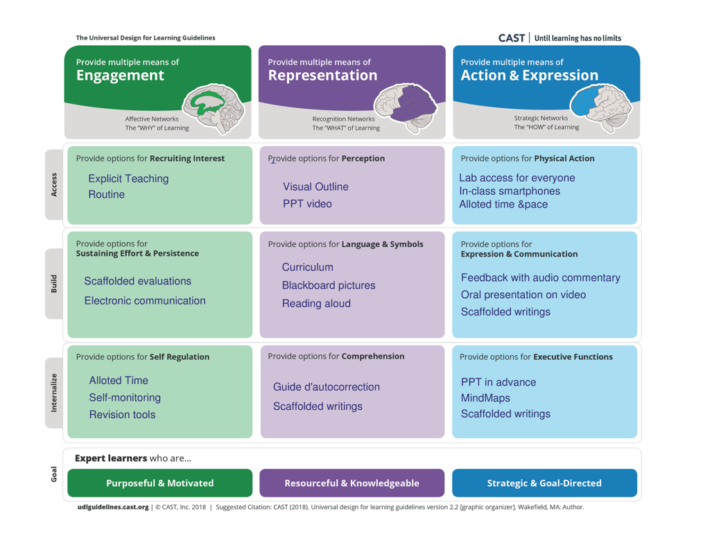 Plonger dans le royaume de l'inclusion - Un voyage UDL - Picture2