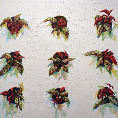 Sylvia Trotter Ewens, Jardin de la ville, 2017