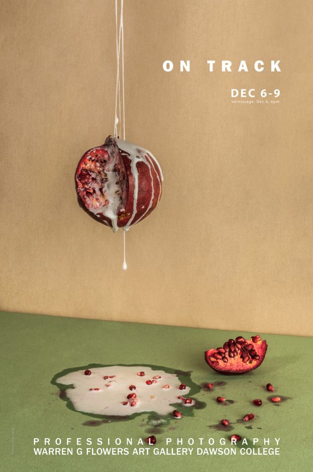 Dec Pro Photo Poster - Web