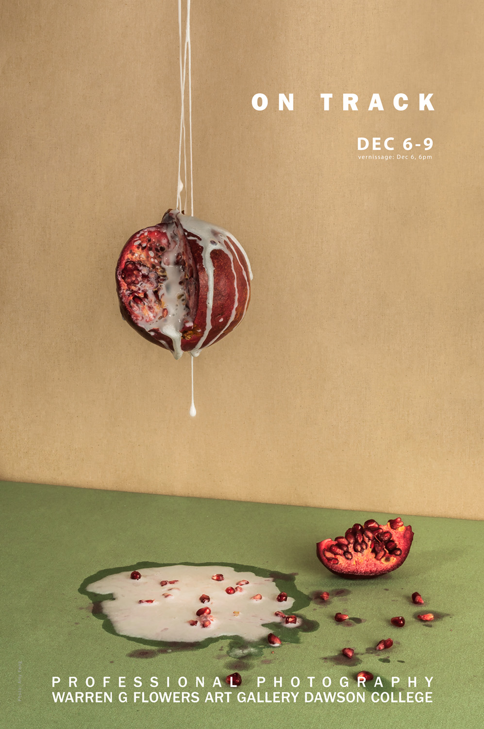Dec Pro Photo Poster - Web