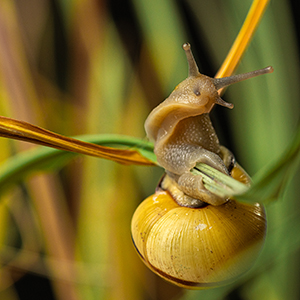 Kassidy Staines, 2025