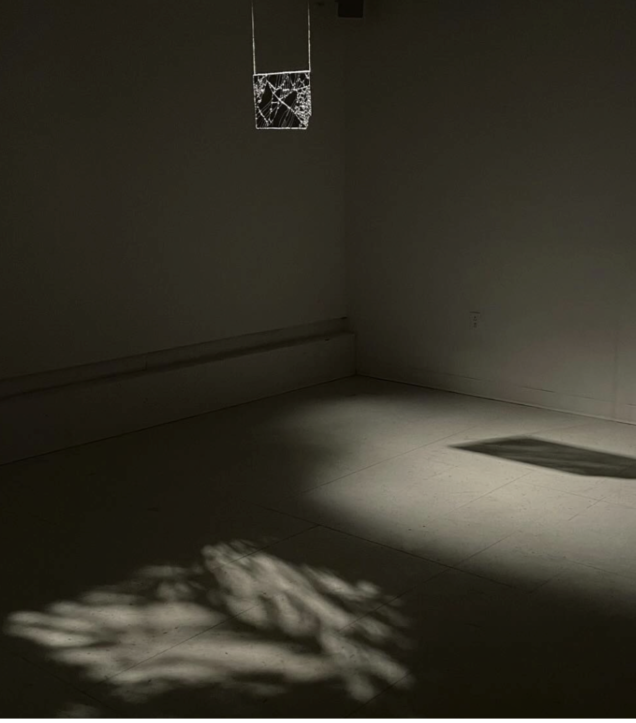 Alex Pouliot (détail de l'installation)