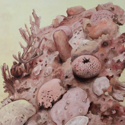 Sonya Kertesz, Polipary, 2017