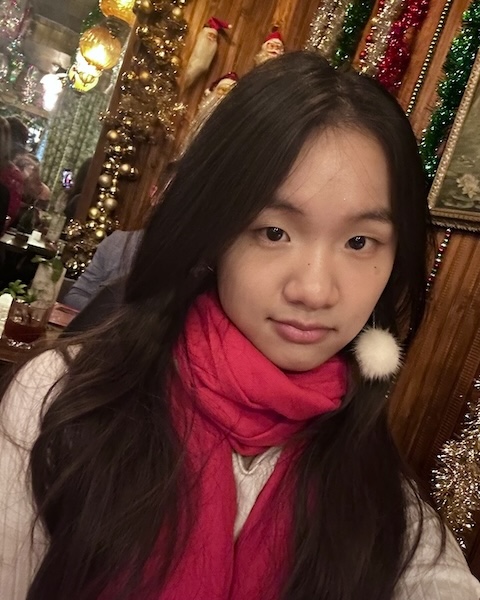 Ni_480x600
