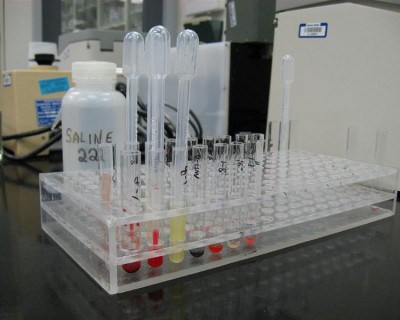 Transfusion lab
