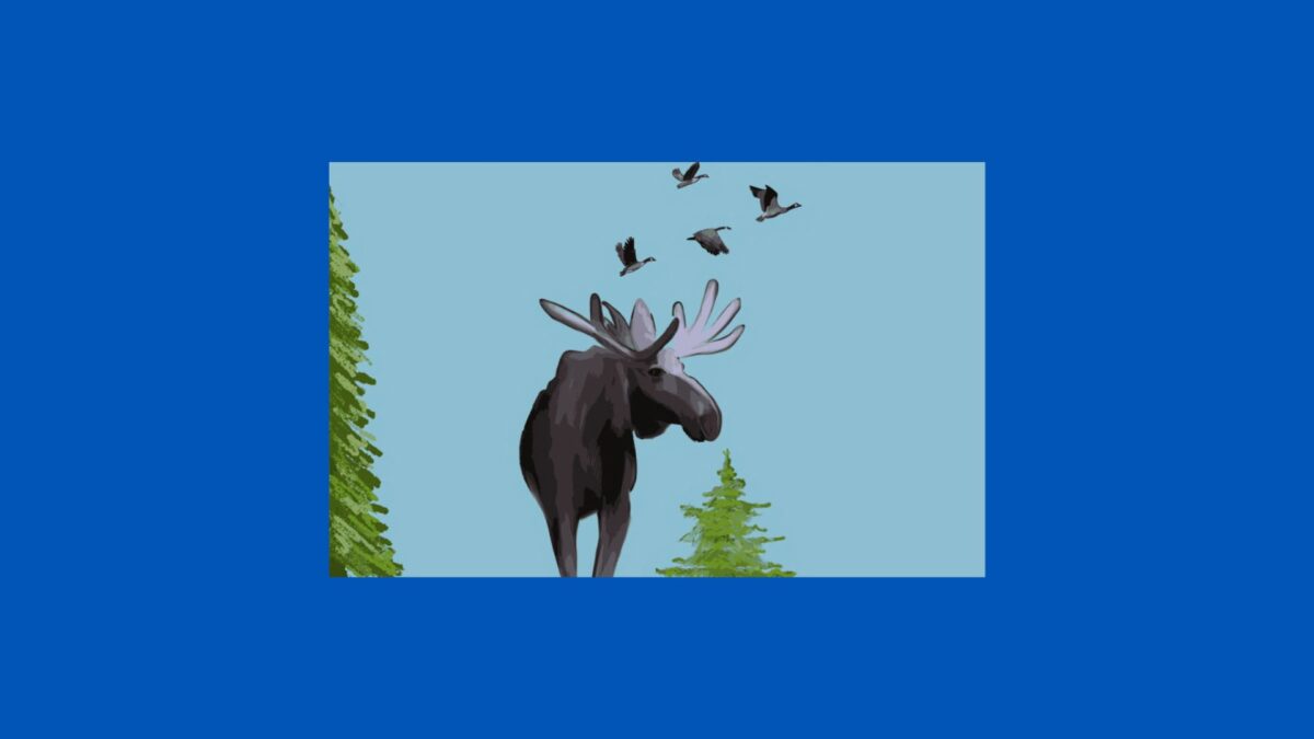 illustration of a moose with birds flying overhead