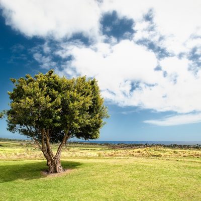 Photo by Jeff King on Unsplash_landscape