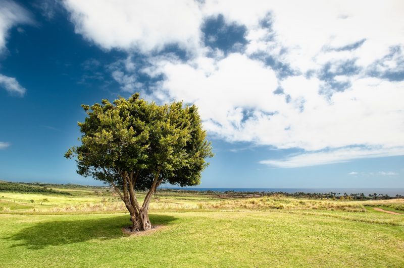 Photo par Jeff King sur Unsplash_landscape
