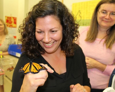 Monarchs Butterfly Tagging