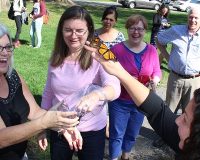 Monarchs Butterfly Tagging