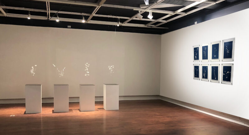 Anahita Norouzi, Other Landscapes vue de l'installation