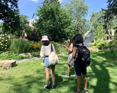 Students in Brian Mader's biology class participating in an insect assignment