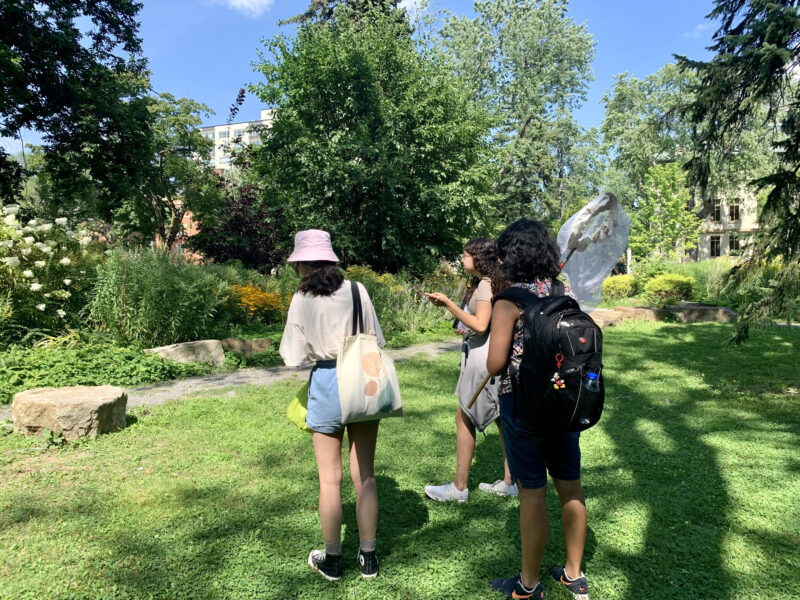 Students in Brian Mader's biology class participating in an insect assignment