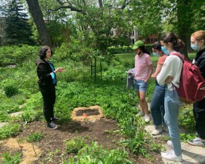 En savoir plus : Le jardin de la paix a besoin de votre AIDE !