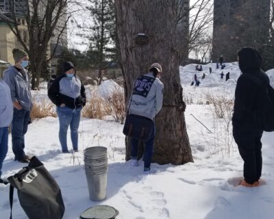 Read more about: Learning about the Indigeneity of maple syrup