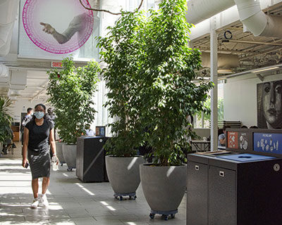 Homepage-News-Item-Plants-Atrium