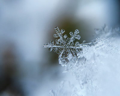 Lire le texte intégral : Neige, pluie verglaçante et autres intempéries à Dawson