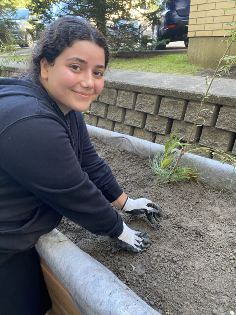 Student plants an aquatic plant into the soil of the biorentation cell