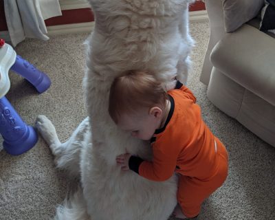 La nièce d'Ildiko et son chien