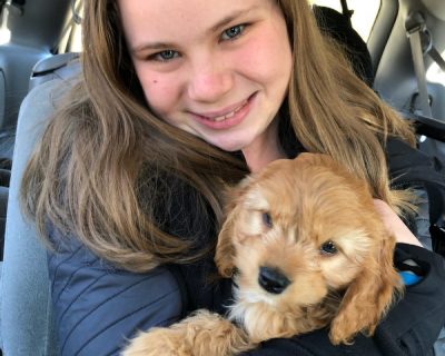 Janet Pakulis-petite-fille et chiot Marley