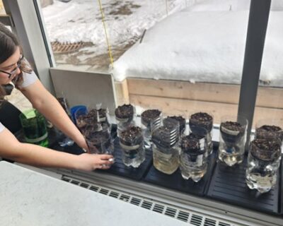 Read more about: Peace 365 students planted their tomatoes