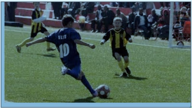 Usha James, conférencière principale des journées pédagogiques, a utilisé la photo d'un joueur de soccer pour enseigner la pensée critique.
