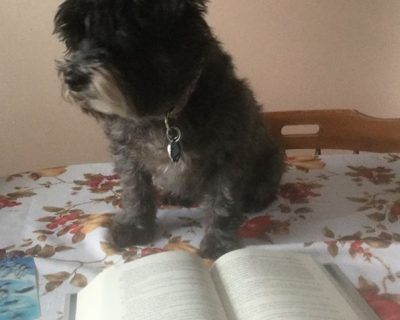 Winnie1
