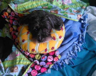 Winnie2