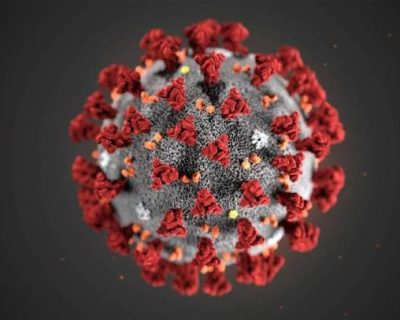 coronavirus