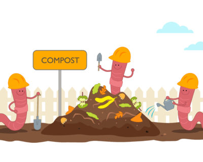 Image of worms eating compost