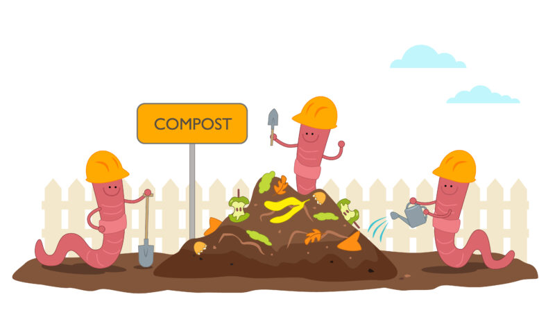 Image de vers mangeant du compost