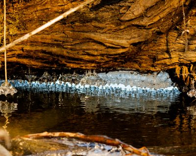 lustre de glace