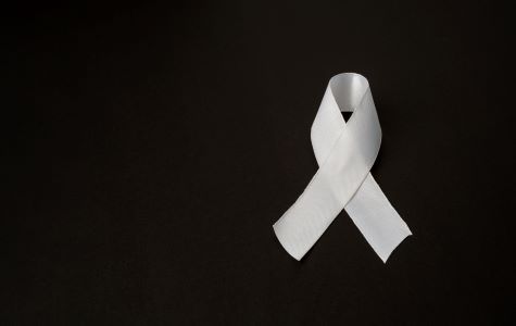 iStock-1689927792 redimensionné